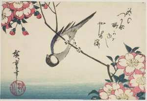 Cinciallegra su ramo di ciliegio in fiore da Utagawa Hiroshige