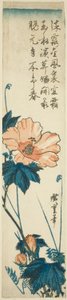 Ibisco da Utagawa Hiroshige