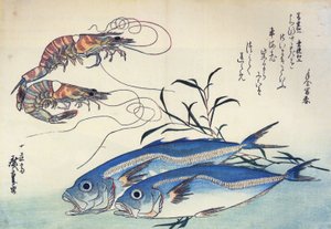 Hiroshige Sgombro e gamberetti da Utagawa Hiroshige