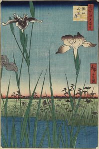 Giardino di iris a Horikiri, maggio 1857