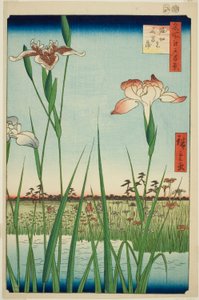 Iris a Horikiri (Horikiri no hanashobu), dalla serie "Cento vedute famose di Edo (Meisho Edo hyakkei)" da Utagawa Hiroshige