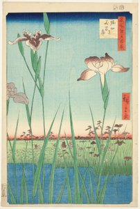 Iris a Horikiri (Horikiri no hanashobu), dalla serie "Cento vedute famose di Edo (Meisho Edo hyakkei)" da Utagawa Hiroshige