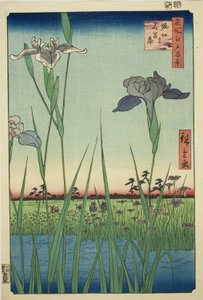 Iris a Horikiri (Horikiri no hanashobu), dalla serie "Cento Vedute Famose di Edo (Meisho Edo hyakkei)" da Utagawa Hiroshige