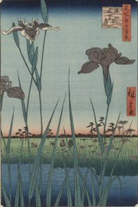 Iris di Horikiri, dalla serie Cento vedute famose di Edo da Utagawa Hiroshige