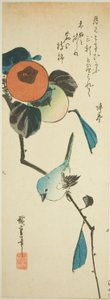 Occhio bianco giapponese e cachi da Utagawa Hiroshige