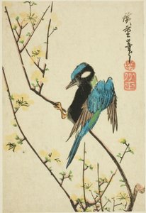 Passero di Giava su ramo di ciliegio da Utagawa Hiroshige