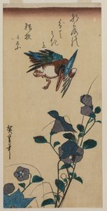 Martin pescatore e campanule cinesi da Utagawa Hiroshige