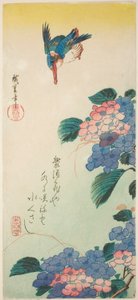 Martin pescatore e ortensia da Utagawa Hiroshige