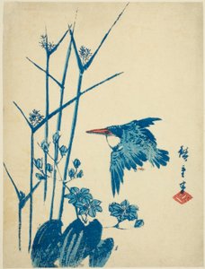 Martin Pescatore e Monochoria da Utagawa Hiroshige