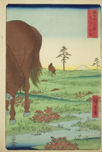 Pianura di Kogane nella provincia di Shimosa (Shimosa Koganehara), dalla serie "Trentasei vedute del Monte Fuji (Fuji sanjurokkei)" da Utagawa Hiroshige