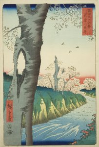 Koganei nella provincia di Musashi (Musashi Koganei), dalla serie "Trentasei vedute del Monte Fuji (Fuji sanjurokkei)" da Utagawa Hiroshige