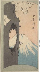 Koganei, sezione di un foglio dalla serie "Immagini ritagliate di luoghi famosi di Edo (Edo meisho harimaze zue)" da Utagawa Hiroshige
