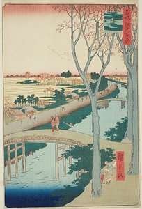 Argine di Koume (Koumezutsumi), n. 104 della serie "Cento vedute famose di Edo (Meisho Edo hyakkei)". da Utagawa Hiroshige