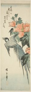 Uccello dalla lunga coda e ibisco da Utagawa Hiroshige