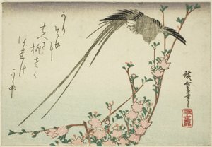 Uccello dalla lunga coda e fiori di pesco da Utagawa Hiroshige