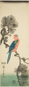 Ara su ramo di pino da Utagawa Hiroshige