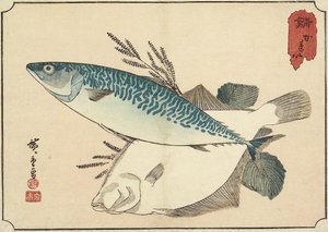 Sgombro e halibut, inizio XIX secolo