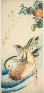 Anatre mandarine da Utagawa Hiroshige