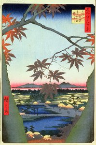 Alberi di acero a Mam, Santuario Tekona e Ponte collegato, tavola 94 dalla serie Cento vedute di Edo, Periodo Edo, Era Ansei, 1857 da Utagawa Hiroshige