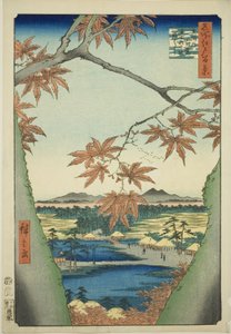 Alberi di Acero a Mama, Santuario Tekona e Ponte Tsugi, dalla serie "Cento Vedute Famose di Edo" da Utagawa Hiroshige