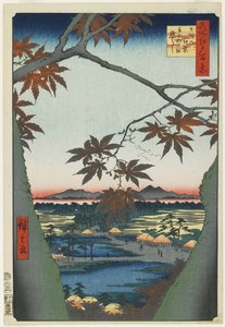 Alberi di acero a Mama con vista del santuario e ponte di Tekona, gennaio 1857