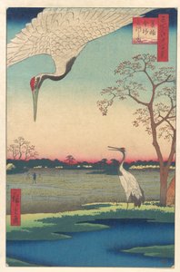  da Utagawa Hiroshige