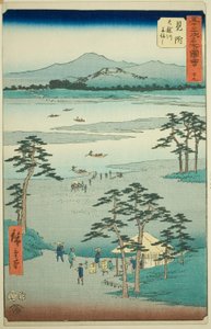 Mitsuke: Traghetto sul fiume Tenryu (Mitsuke, Tenryugawa funewatashi), n. 29 dalla serie "Luoghi famosi delle cinquantatré stazioni (Gojusan tsugi meisho zue)," noto anche come il Tokaido verticale da Utagawa Hiroshige