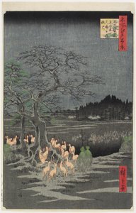La Notte di Capodanno, Fuochi di Volpe all