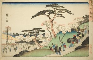 Nippori, dalla serie "Luoghi Famosi della Capitale Orientale (Toto meisho)" da Utagawa Hiroshige