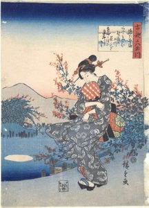 Noji: Sei fiumi Tama da Utagawa Hiroshige