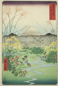 Pianura di Otsuki nella provincia di Kai (Kai Otsuki no hara), dalla serie "Trentasei vedute del Monte Fuji (Fuji sanjurokkei)" da Utagawa Hiroshige