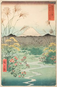 Pianura di Otsuki nella provincia di Kai (Kai Otsuki no hara), dalla serie 