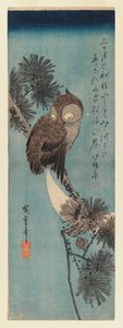 Gufo su un ramo di pino, c.1833 da Utagawa Hiroshige
