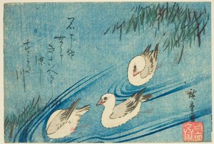 Beccacce di mare da Utagawa Hiroshige