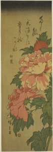 Peonie da Utagawa Hiroshige
