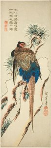 Fagiano su un pino coperto di neve da Utagawa Hiroshige
