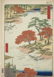 Recinti del Santuario di Akiba, Ukeji (Ukeji Akiba no keidai), dalla serie "Cento vedute famose di Edo (Meisho Edo hyakkei)" da Utagawa Hiroshige