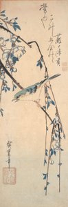 Codirosso su un ramo di ciliegio da Utagawa Hiroshige