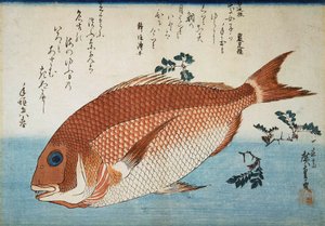 Orata, 1832-1834 da Utagawa Hiroshige
