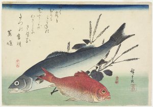 Dentice rosso, branzino e perilla, c. 1840