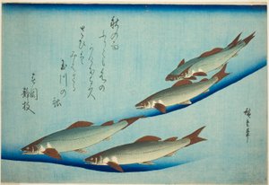 Trota di fiume da Utagawa Hiroshige