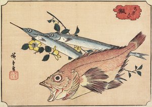 Pesce roccia e pesce mezzobecco, inizio XIX secolo