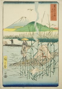 Fiume Sagami (Sagamigawa), dalla serie "Trentasei Vedute del Monte Fuji (Fuji sanjurokkei)" da Utagawa Hiroshige