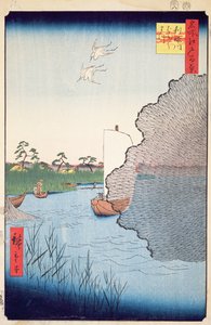Pini sparsi, fiume Tone, n.71 da Cento famosi vedute di Edo, 1856 da Utagawa Hiroshige