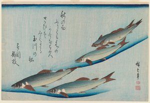 Scuola di cinque trote della serie Pesci, c.1835 da Utagawa Hiroshige