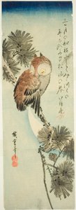 Gufo dalle piccole corna, pino e luna crescente da Utagawa Hiroshige