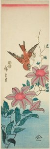 Passero e Clematide da Utagawa Hiroshige