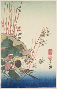 Passero su un vaso appeso da Utagawa Hiroshige