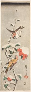Passeri e Camelia nella Neve da Utagawa Hiroshige