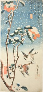 Passeri e camelia nella neve da Utagawa Hiroshige